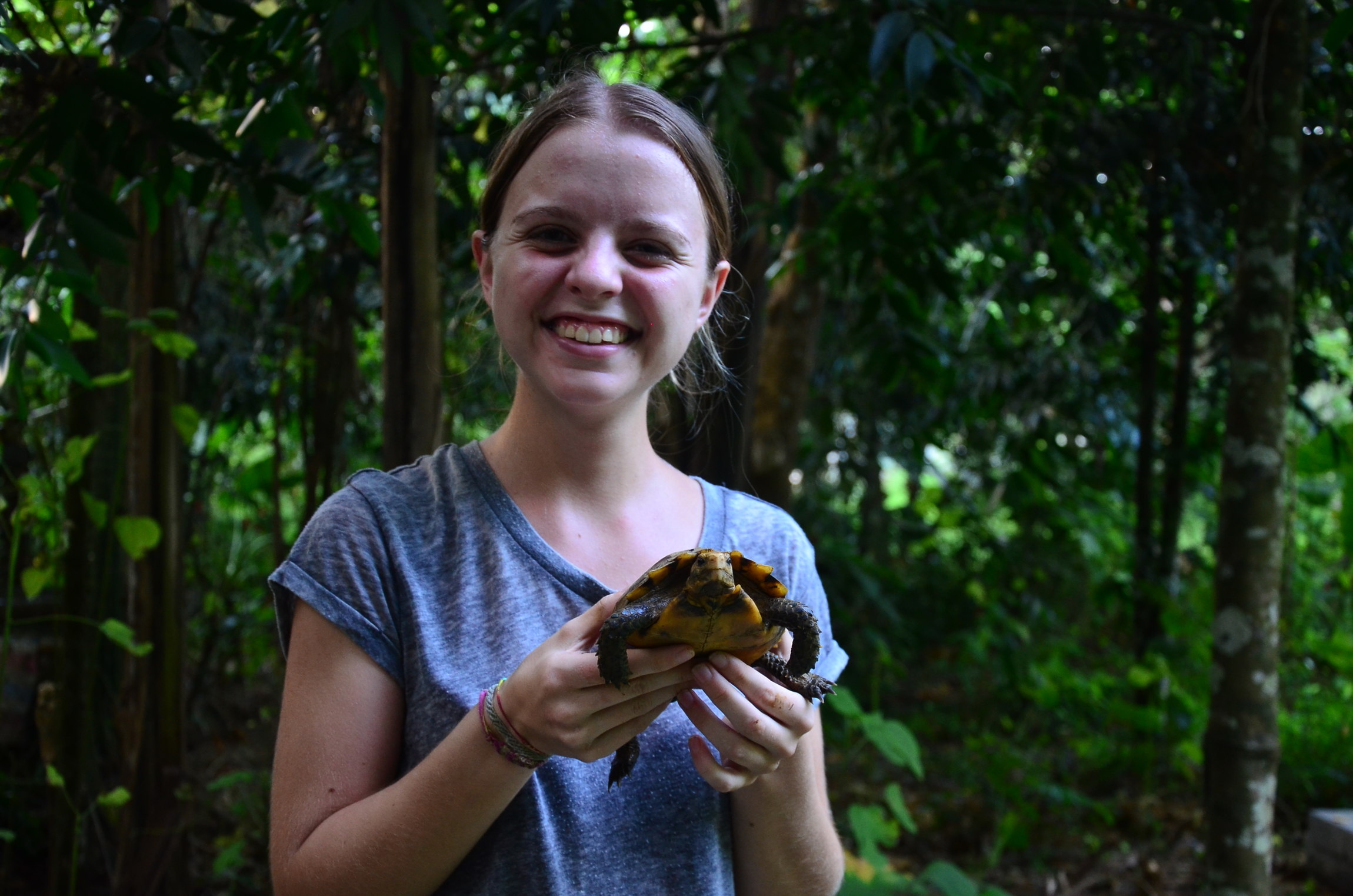 Lächelnde Person hält eine kleine Schildkröte in den Händen, im Hintergrund dichter Wald.