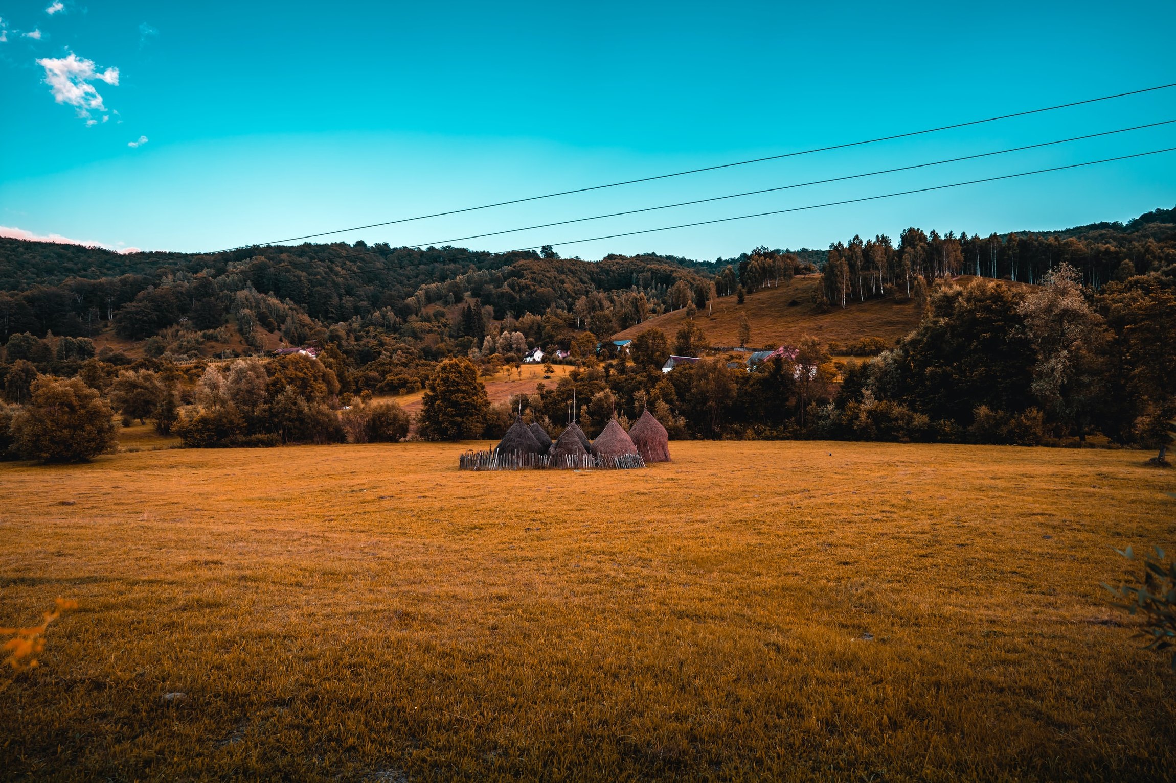 Feld mit Häusern