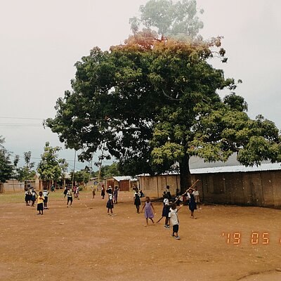 Kinder spielen auf einem großen Schulhof in Ghana, im Hintergrund steht ein großer Baum neben einfachen Schulgebäuden.